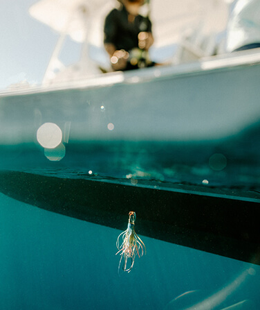 mahi charter fishing